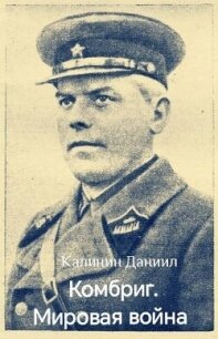 Мировая война (СИ) - Калинин Даниил Сергеевич (бесплатные книги онлайн без регистрации txt, fb2) 📗