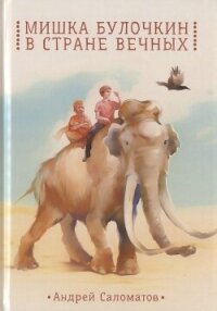 Мишка Булочкин в стране вечных - Саломатов Андрей Васильевич (книги онлайн без регистрации .txt, .fb2) 📗