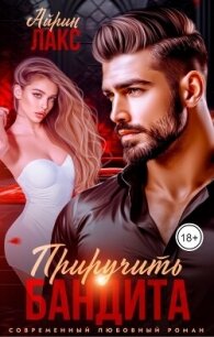 Развод. Приручить Бандита (СИ) - Лакс Айрин (читать полные книги онлайн бесплатно .txt, .fb2) 📗
