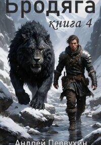 Бродяга. Книга четвёртая - Первухин Андрей Евгеньевич (книги бесплатно без регистрации txt, fb2) 📗