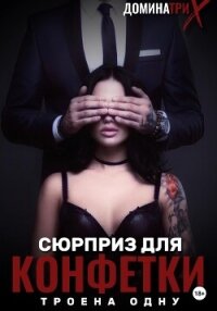Сюрприз для конфетки: трое на одну - "ДОМИНАТРИКС" (читать книги без сокращений TXT, FB2) 📗