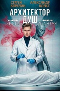Архитектор Душ Х (СИ) - Вольт Александр (полные книги .TXT, .FB2) 📗