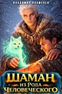 Шаман из Рода Человеческого (СИ) - Пламенев Владимир (книги онлайн полные версии бесплатно .txt, .fb2) 📗