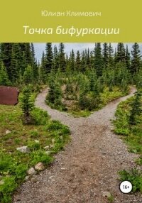 Точка бифуркации - Климович Юлиан (читать книги без сокращений TXT, FB2) 📗