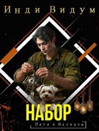 Набор (СИ) - Видум Инди (книга регистрации .txt, .fb2) 📗