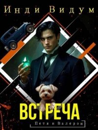 Встреча (СИ) - Видум Инди (е книги .txt, .fb2) 📗