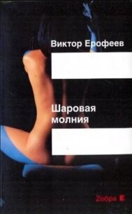 Шаровая молния - Ерофеев Виктор Владимирович (читать книги онлайн бесплатно серию книг .TXT, .FB2) 📗