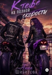 К тебе на полной скорости - Шибитова Анна (читаем книги txt, fb2) 📗