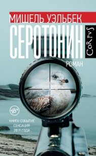 Серотонин - Уэльбек Мишель (электронные книги без регистрации txt, fb2) 📗