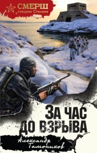 За час до взрыва - Тамоников Александр Александрович (е книги .txt, .fb2) 📗