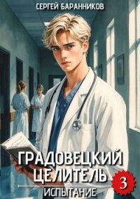 Испытание (СИ) - Баранников Сергей (читать полные книги онлайн бесплатно .TXT, .FB2) 📗