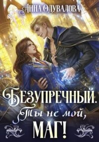 Безупречный. Ты не мой маг! - Одувалова Анна Сергеевна (полная версия книги .TXT, .FB2) 📗