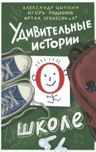 Удивительные истории о школе - Цыпкин Александр Геннадиевич (книга бесплатный формат .TXT, .FB2) 📗