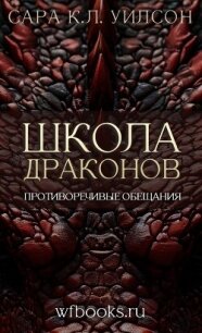 Противоречивые обещания (ЛП) - Уилсон Сара (читать книги бесплатно полностью без регистрации TXT, FB2) 📗