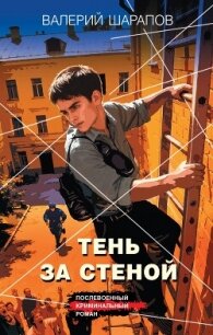 Тень за стеной - Шарапов Валерий (книги бесплатно полные версии txt, fb2) 📗