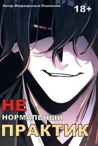 Ненормальный практик 11 (СИ) - "Извращённый отшельник" (читать хорошую книгу .TXT, .FB2) 📗
