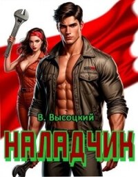 Наладчик. Трилогия (СИ) - Высоцкий Василий (читаем книги онлайн бесплатно .TXT, .FB2) 📗