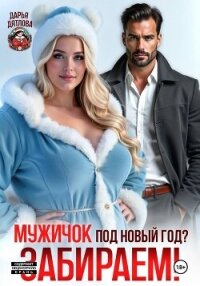 Мужичок под новый год? Забираем! - Дятлова Дарья (читать книги онлайн полностью без регистрации .txt, .fb2) 📗
