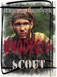 Скаут (СИ) - Башибузук Александр (читаемые книги читать онлайн бесплатно .txt, .fb2) 📗