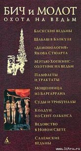 Бич и молот. Охота на ведьм в XVI-XVIII веках - Антология (книги txt) 📗