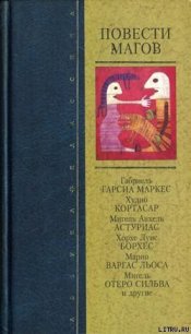 Преследователь - Кортасар Хулио (читать хорошую книгу TXT) 📗