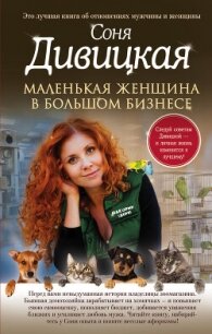 Маленькая женщина в большом бизнесе - Дивицкая Соня (онлайн книга без txt, fb2) 📗