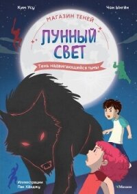 Магазин теней «Лунный свет». Книга 4. Тень надвигающейся тьмы - Ынгён Чон (читаем книги онлайн .txt, .fb2) 📗