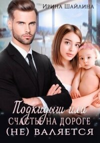 Подкидыш или счастье на дороге не валяется - Шайлина Ирина (читать книги онлайн без txt, fb2) 📗