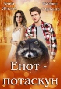 Енот-потаскун (СИ) - Жилло Анна (читать книги онлайн полностью без сокращений TXT, FB2) 📗