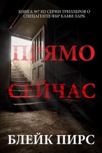 Прямо сейчас - Пирс Блейк (читать книги полностью без сокращений бесплатно .TXT, .FB2) 📗