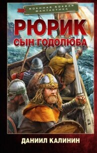 Рюрик. Сын Годолюба - Калинин Даниил Сергеевич (серия книг .txt, .fb2) 📗