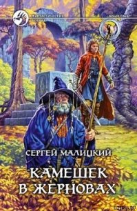 Камешек в жерновах - Малицкий Сергей Вацлавович (читать книги онлайн полностью txt) 📗