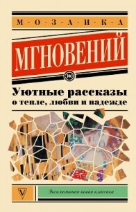 Мозаика мгновений. Уютные рассказы о тепле, любви и надежде - Большаков Валентин (читать полные книги онлайн бесплатно .txt, .fb2) 📗