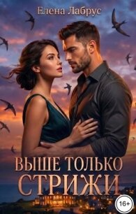 Выше только стрижи (СИ) - Лабрус Елена (бесплатные онлайн книги читаем полные версии TXT, FB2) 📗