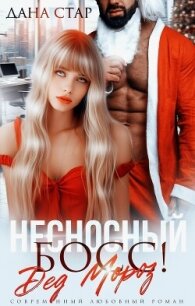 Несносный босс Дед Мороз - Стар Дана (е книги txt, fb2) 📗