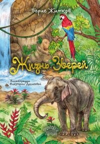 Жизнь зверей - Житков Борис (книги бесплатно без онлайн TXT, FB2) 📗