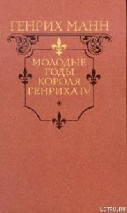 Молодые годы короля Генриха IV - Манн Генрих (бесплатные онлайн книги читаем полные .TXT) 📗