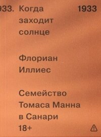 Когда заходит солнце. Семейство Томаса Манна в Санари - Иллиес Флориан (читать книги онлайн без сокращений txt, fb2) 📗