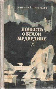 Пират - Марысаев Евгений Клеоникович (читать книги бесплатно полностью без регистрации TXT) 📗