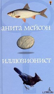 Иллюзионист - Мейсон Анита (читать книги полностью без сокращений бесплатно .txt) 📗