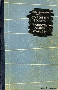 Суровый воздух - Арсентьев Иван Арсентьевич (читать книги бесплатно полностью без регистрации TXT) 📗