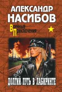 Долгий путь в лабиринте - Насибов Александр Ашотович (читаем полную версию книг бесплатно .txt) 📗