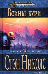 Воины Бури - Николс Стэн (чтение книг txt) 📗