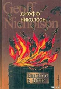 Бедлам в огне - Николсон Джефф (первая книга .txt) 📗