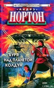 Буря над колдуном - Нортон Андрэ (бесплатные книги онлайн без регистрации txt) 📗