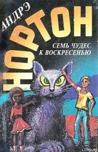 Семь чудес к воскресенью - Нортон Андрэ (книги онлайн бесплатно серия .TXT) 📗