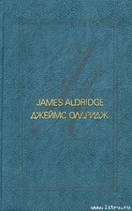 Дело чести - Олдридж Джеймс (читать онлайн полную книгу .txt) 📗