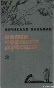 Восточный кордон - Пальман Вячеслав Иванович (библиотека книг .TXT) 📗