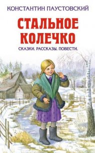 Стальное колечко - Паустовский Константин Георгиевич (читать книги онлайн регистрации .txt) 📗