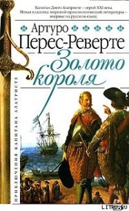 Золото короля - Перес-Реверте Артуро (книги онлайн полные версии бесплатно .TXT) 📗